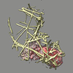 computer generated image