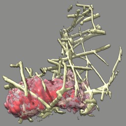 computer generated image