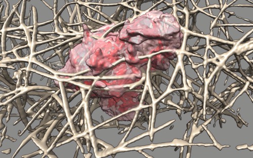 computer generated image