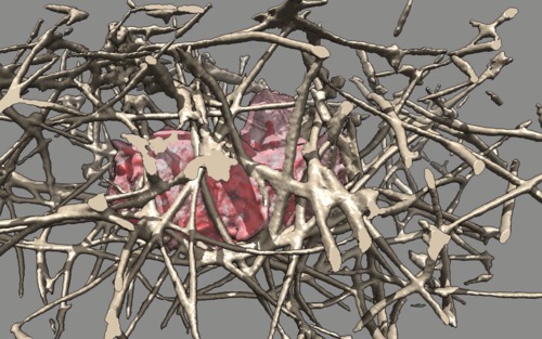 computer generated image