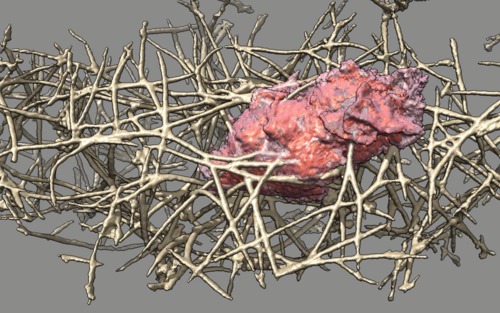 computer generated image