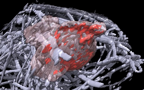 computer generated image