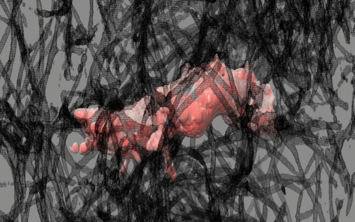 computer generated image