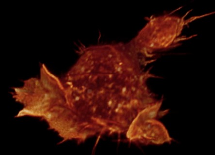 computer generated image