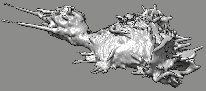 computer generated image