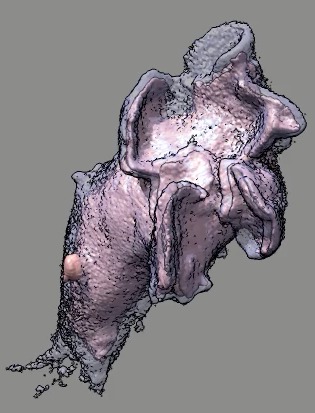 computer generated image