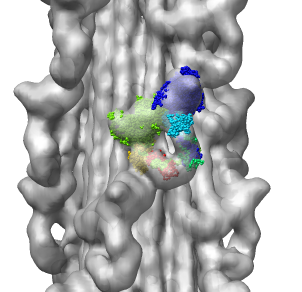 computer generated image