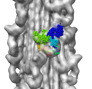 computer generated image