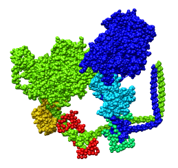 computer generated image