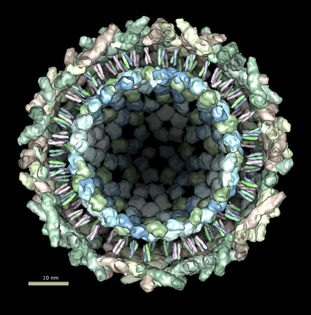 computer generated image