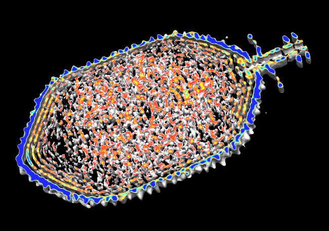 computer generated image