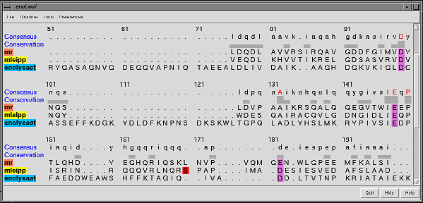 computer generated image