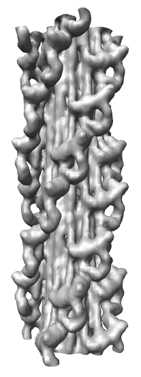 computer generated image