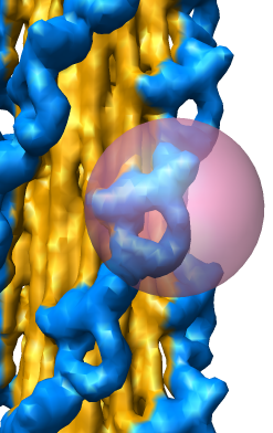 computer generated image