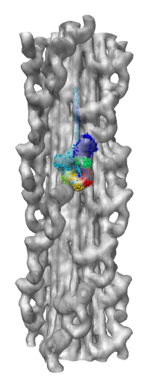 computer generated image