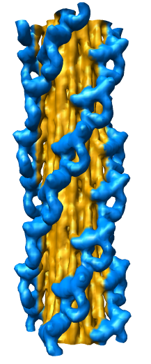 computer generated image