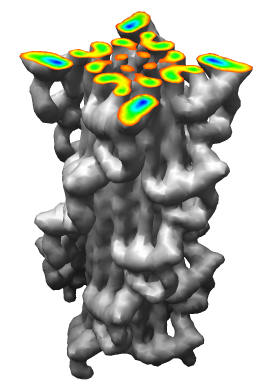 computer generated image