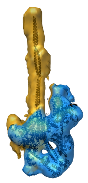 computer generated image