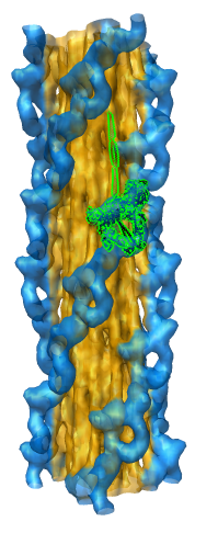 computer generated image