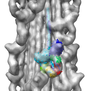 computer generated image