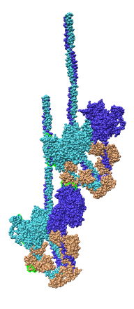 computer generated image