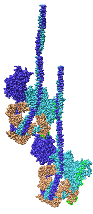 computer generated image