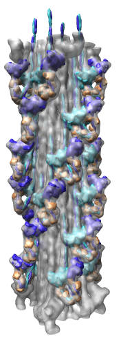 computer generated image