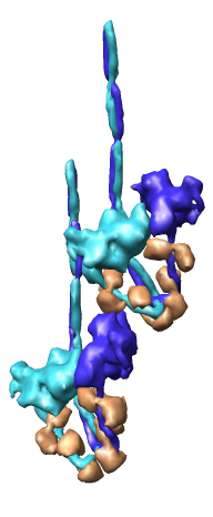 computer generated image