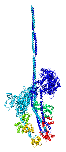 computer generated image