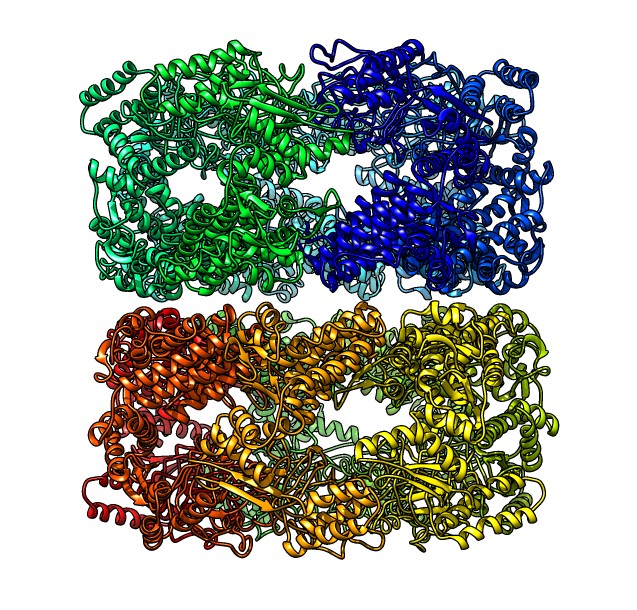 computer generated image