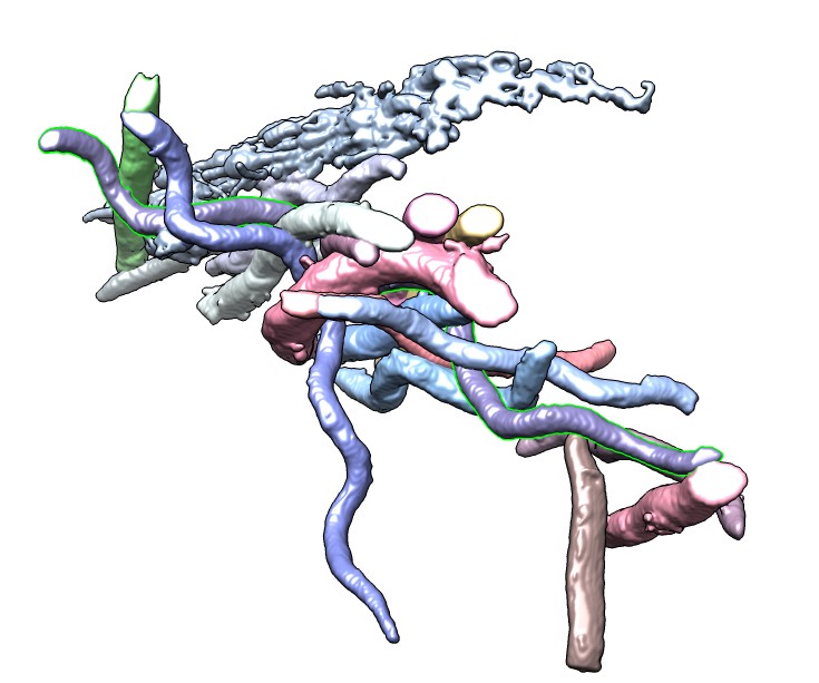 computer generated image