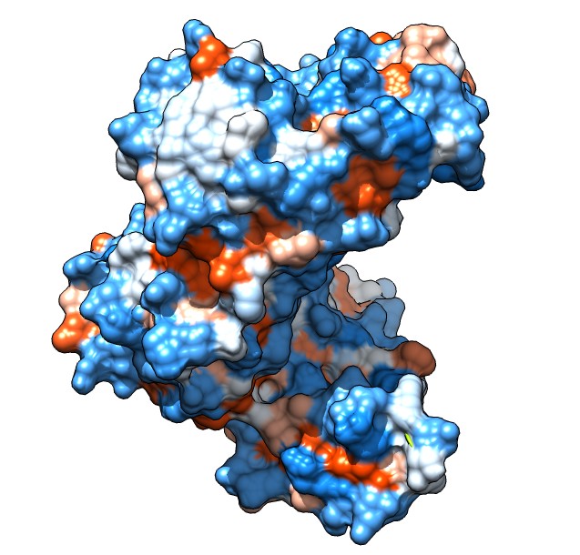 computer generated image