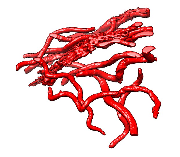 computer generated image