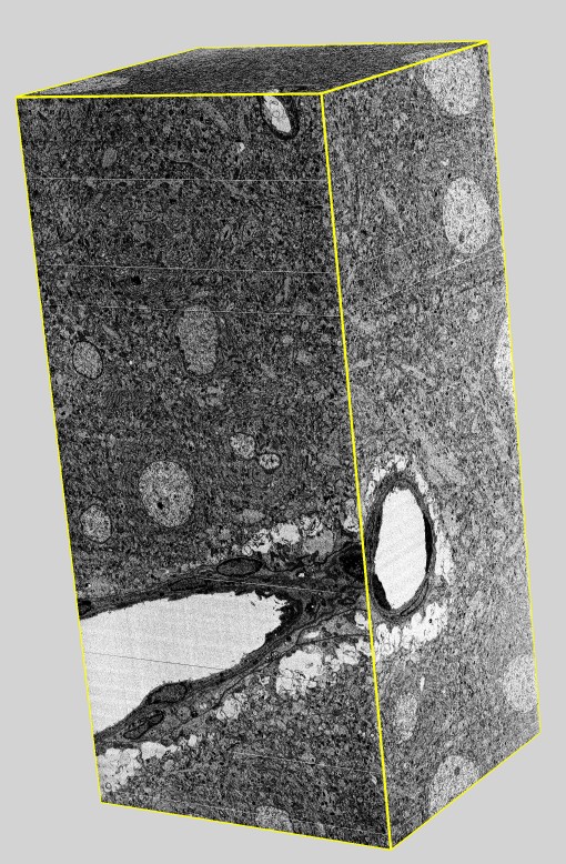 computer generated image