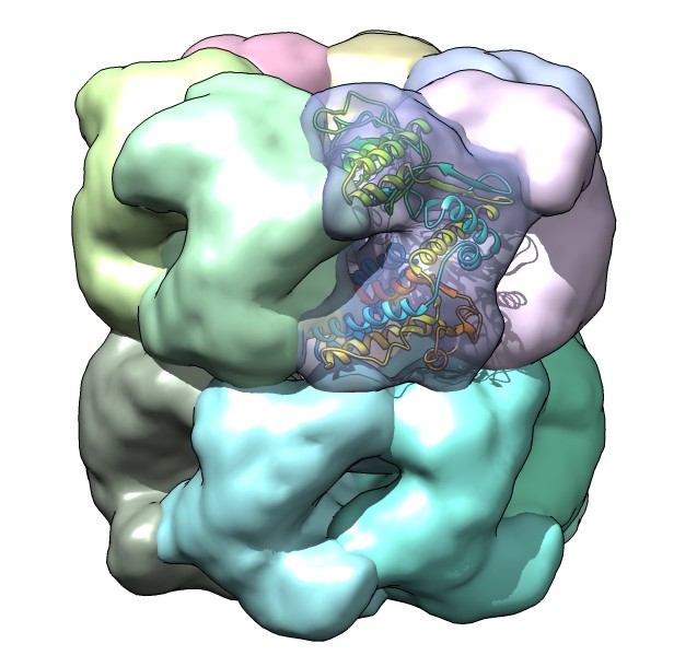 computer generated image