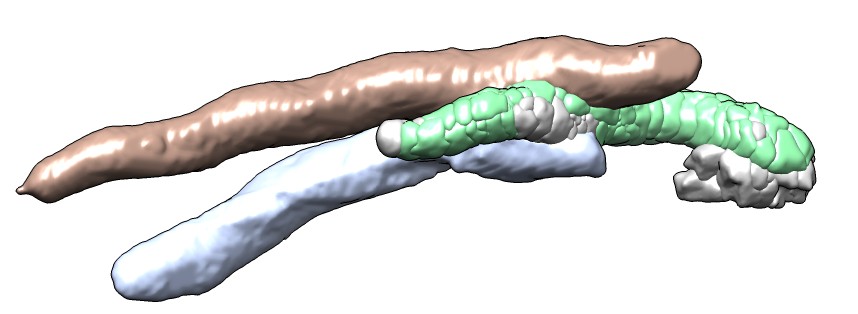 computer generated image