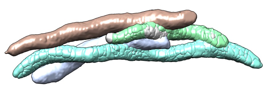 computer generated image