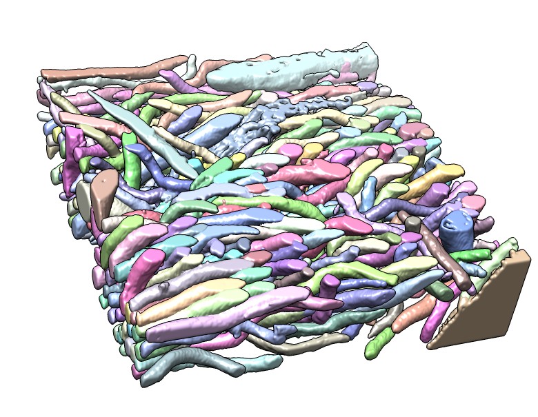 computer generated image