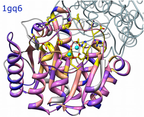 computer generated image