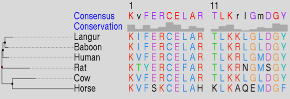 computer generated image