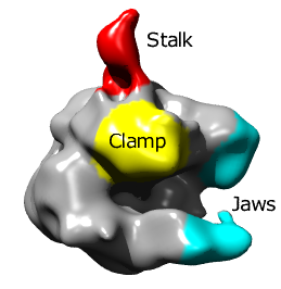 computer generated image