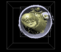 computer generated image