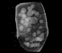 computer generated image