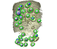 computer generated image