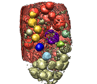 computer generated image