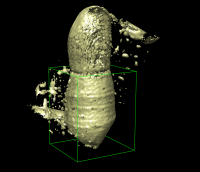 computer generated image