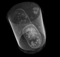 computer generated image