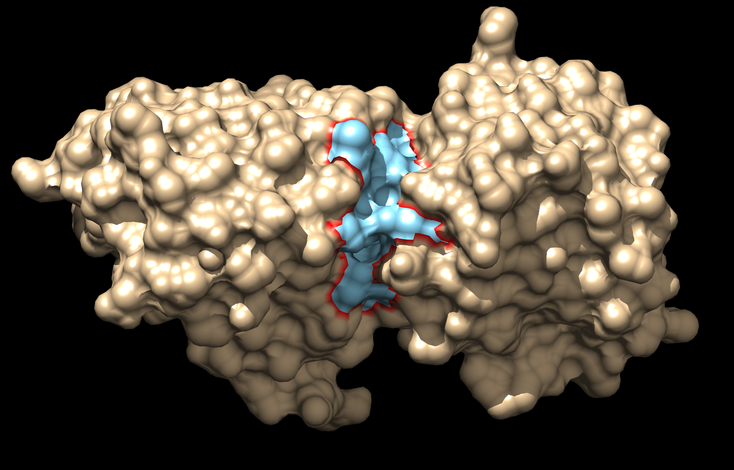 computer generated image