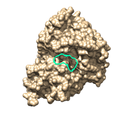 computer generated image