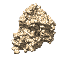 computer generated image